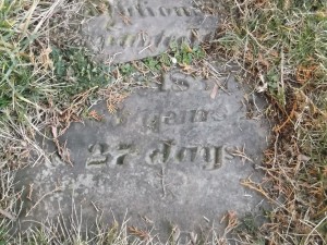 A headstone that is partially legible but has fallen back into the earth and is slowly becoming part of the soil again.